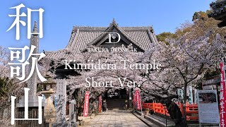 [桜ドローン撮影4K] 和歌山県紀三井寺の桜 Kimiidera Temple, Wakayama (Short Ver. )｜桜ドローンプロジェクト