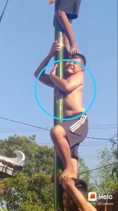 panjat pinang lucu