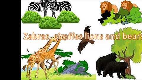 Everybody Up 1  where is the snake