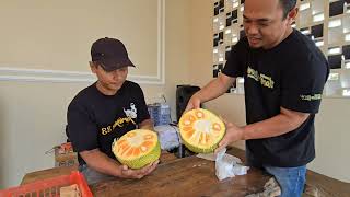 Nangka Mit Ruot Do Dari Vietnam  berbuah Pertama di Indonesia Vietnam