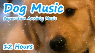 dog favorite music, music for loud barking dogs, relaxing music for dogs, healing music, sleep music