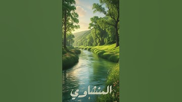 سورة النور | المنشاوي #المنشاوي #قران#القران_الكريم#quran#سورة_النور #محمد_صديق_المنشاوي