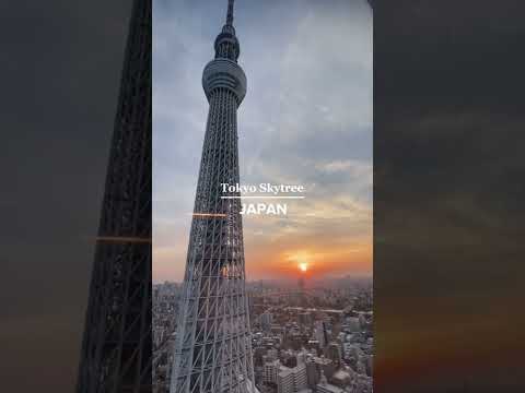Video: 12 Tarikan Pelancong Tertinggi di Tokyo