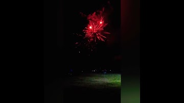 Deez Nuts 36 shot fireworks New for 2025 by Pyro Loco