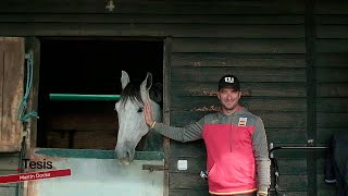 🏆 JOSÉ DANIEL MARTÍN DOCKX: UN JINETE DE LEYENDA 🏇