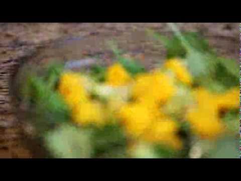 Mango, Avocado, and Spinach Salad