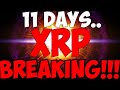 Ripple xrp jp morgan is bullish on altcoins dont be fooled and sell now