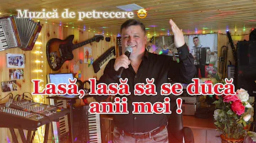 Lasă, lasă să se ducă anii mei - Iurie Palade