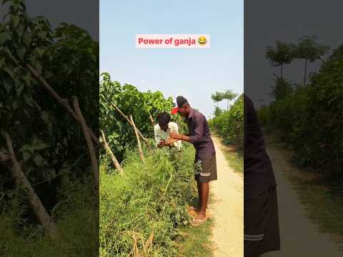 खाना इंपॉर्टेंट ❎ गांजा इंपॉर्टेंट ✅ #viral #reel #new #viral #trending #reels #short #comedy video