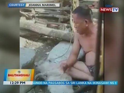 BT: Video Ng Asong Walang Awang Pinagsasaksak, Idinulog Sa Animal Rights Group