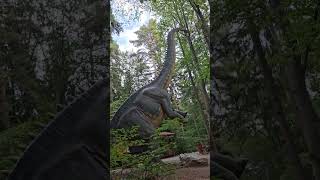 Descoperă Dino Parc Râșnov - O Aventură Preistorică!