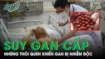 Suy Gan Cấp Do Tự Ý Dùng Thuốc, Những Thói Quen Khiến Gan Bị Nhiễm Độc |SKĐS