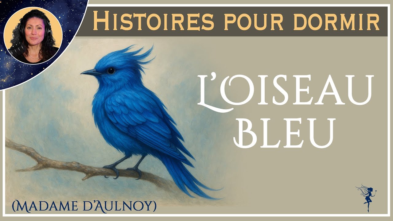 Histoire pour dormir  |  L'oiseau bleu | Conte de Madame d'Aulnoy