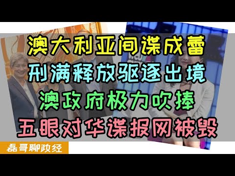 澳大利亚籍间谍成蕾刑满释放被驱逐出境！前央视主持人为何当间谍？成蕾间谍案为何只坐牢3年？澳大利亚吹捧成蕾目的是什么？央视成蕾间谍案始末