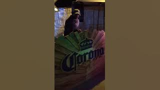 Download lagu Efkay Da Shiqwan