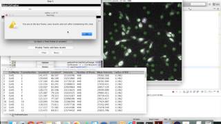Celebrity Single Cell Semi Automated Profile
