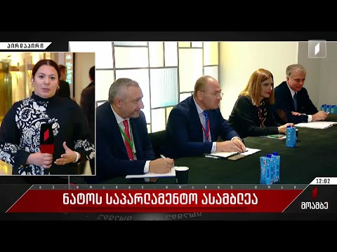 ნატო-ს საპარლამენტო ასამბლეა