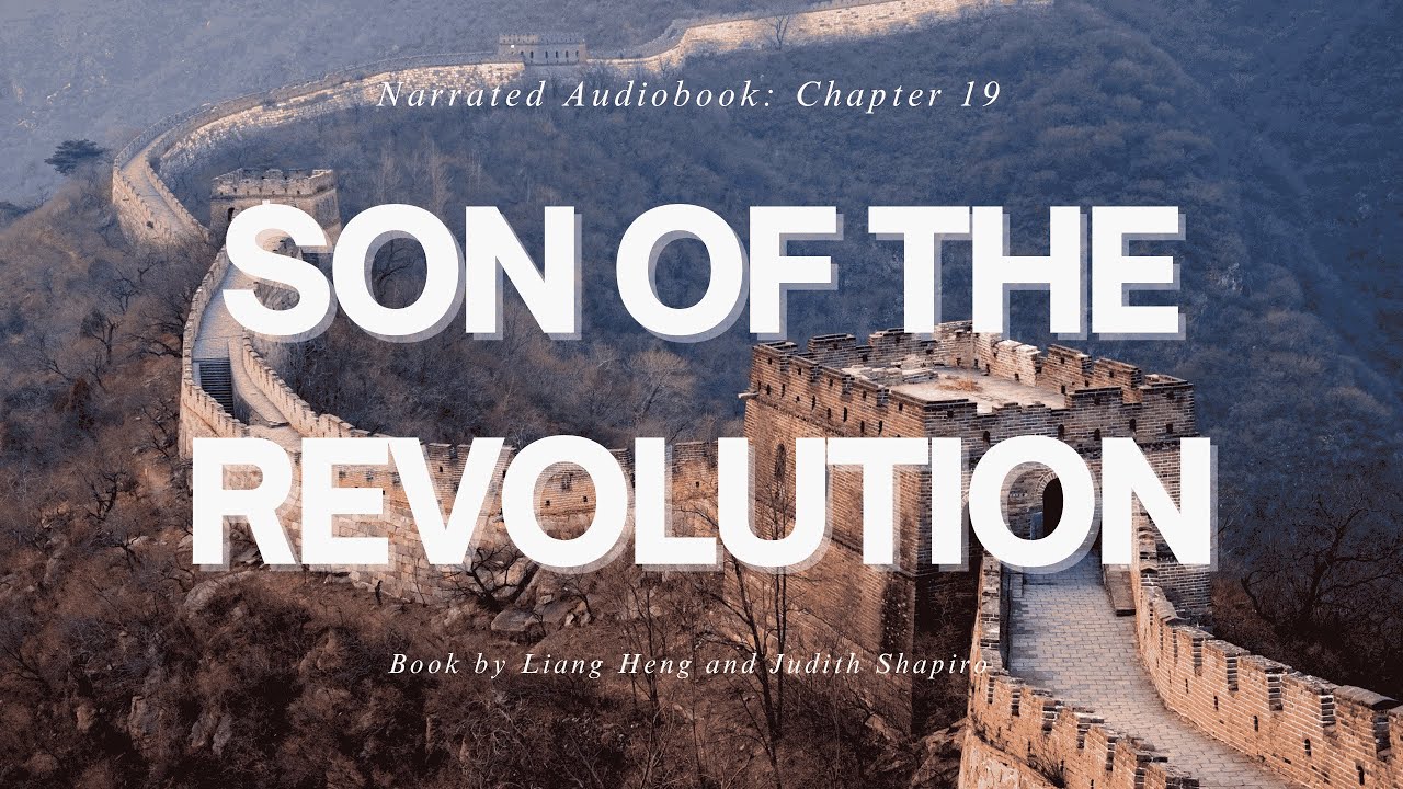 Audio book: Son of the Revolution, Chapter 19