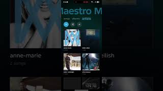 Maestro Beta 1