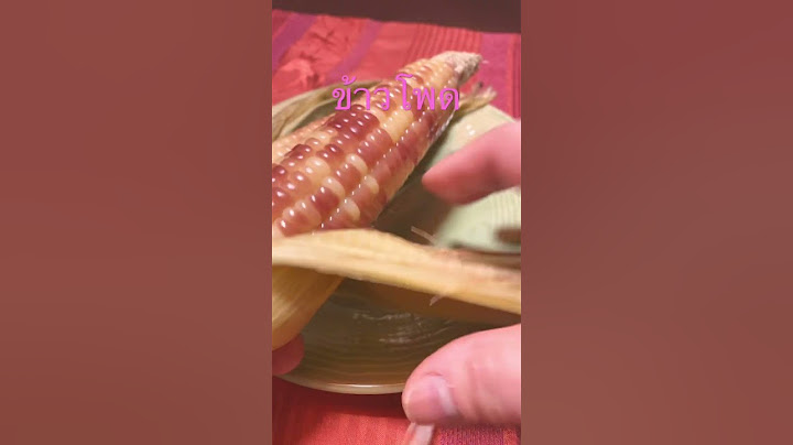 มากินข้าวโพดนึ่งกันค่ะ🌽🤤