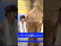 (shakeel siddiqui) and (sanamsikander) comedy #shots #viral #trending #explore #comedy