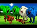 तीन जादुई अध्भुत रंगीन शेर कातिल बाघ और जादुई पेड़ की शक्तियां Three Magical Lions Brothers Stories