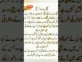 Urdu Quotes||#funny#unfrezzmyaccount#memes#jokesmemes#shorts#urdunovels#comedy#trending