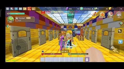 Proof #10 (skyblock trusted trader)