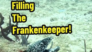 One of my favorite dives of all time. I was super happy by the end!