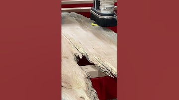 Live edge slab Sanding system