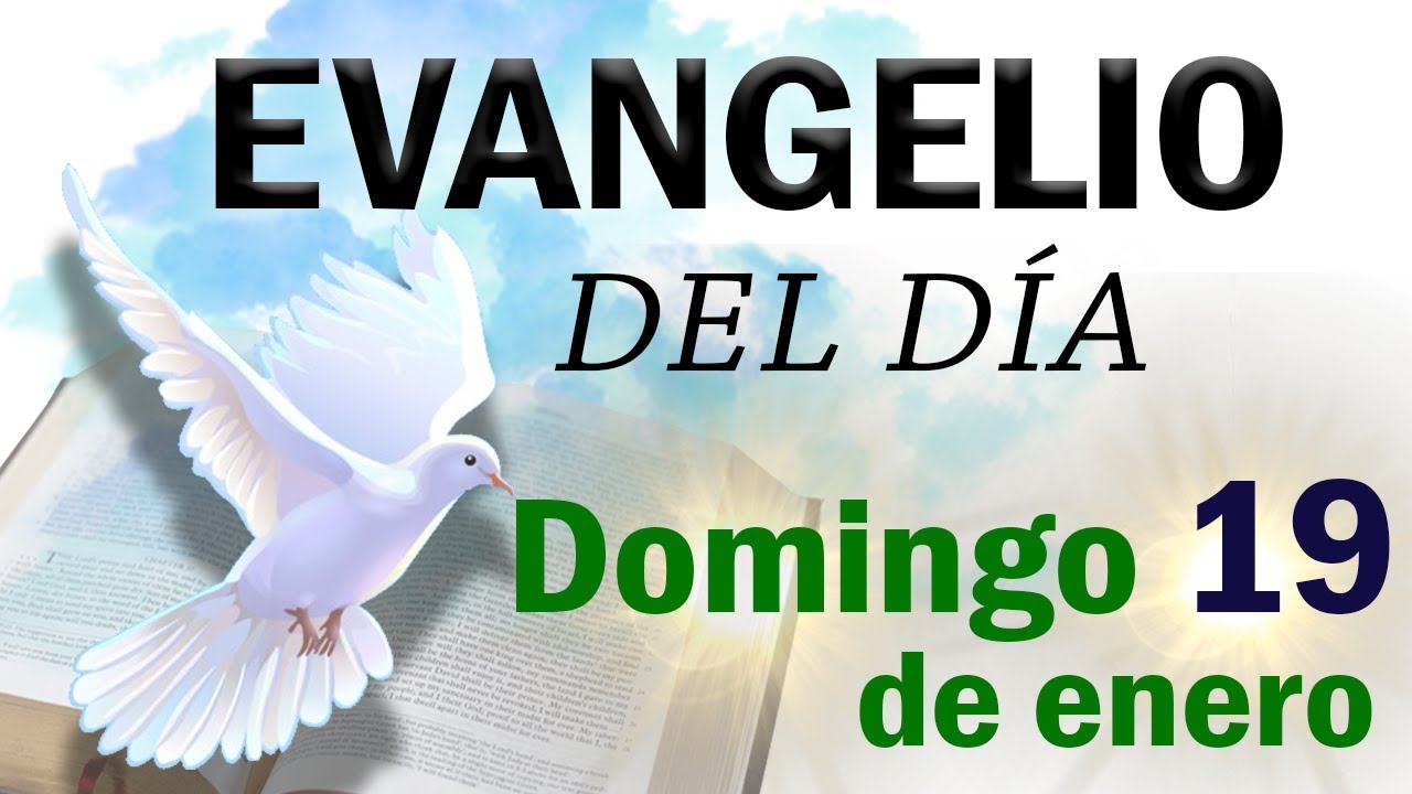 Evangelio Del Dia Domingo | Evangelio y lecturas de hoy – VBGP