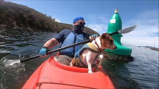 Kayaking Derwent River Geilston Bay 13 2 24 Reel Trip 772