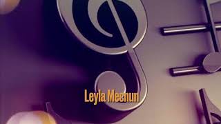 Leyla - Mecnun - Göksel Saraç Resimi