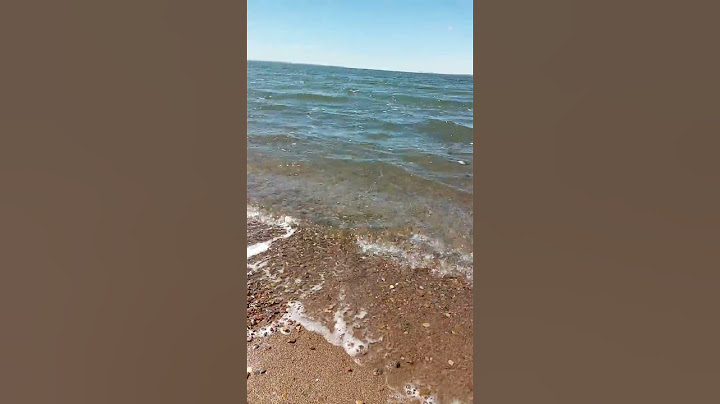 Өгий нуурын эрэг 🏖✌