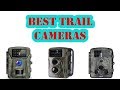 Best Trail Cameras to Capture Wildlife Photos