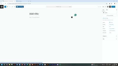 Activate Brizy for Posts and Pages in WordPress | Brizy Video Documentation