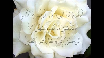 سورة الملك بصوت القارئ محمد صلاح نافع