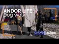 Oxford instruments  andor life  dog walk february 2024