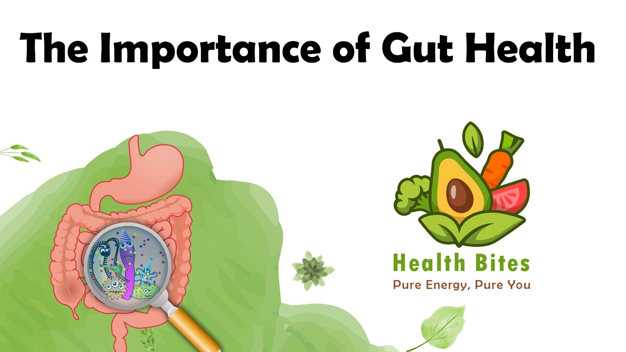 The Importance of Gut Health - YouTube