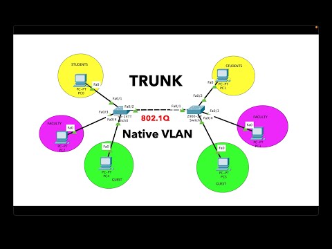 Trunk port | Native vlan  configuration | CCNA 200-301