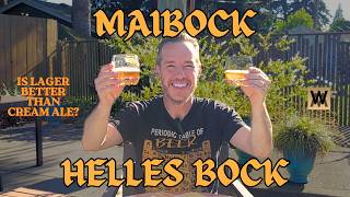 How to Brew GREAT LAGER at HOME. Helles Bock(Maibock) Bier. Does a Cream Ale even come close?
