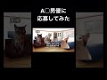 A◯男優に応募してみた#猫ミーム #猫マニ