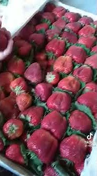 клабника😜🍓 - YouTube