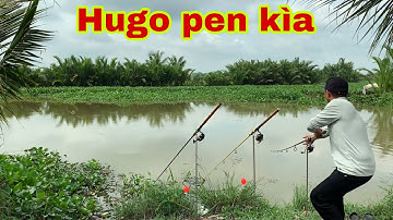 Câu Cá Tra Sông - Cá Khủng Ục Thấy Mê Mới Quăng Câu Lụm Luôn Hugo | Fishing - Miền Tây