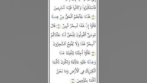 سورة يونس الربع الخامس