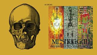 MESHUGGAH - Transfixion [ISOLATED DRUMS] DESTROY ERASE IMPROVE