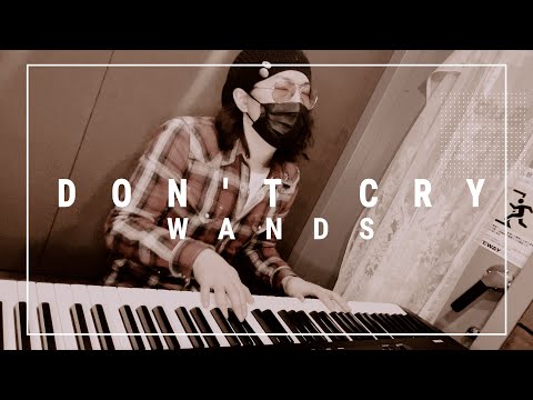 WANDS DON T CRY 即興で弾いてみた