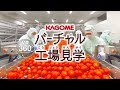 VR360°カゴメバーチャル工場見学MOVIE