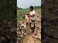 Soil temperature regulation: The mulch keeps the soil cooler in hot weather and warmer in cooler