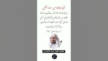 الآية (61)من سورة النحل// القارئ الشيخ سعد الغامدي.